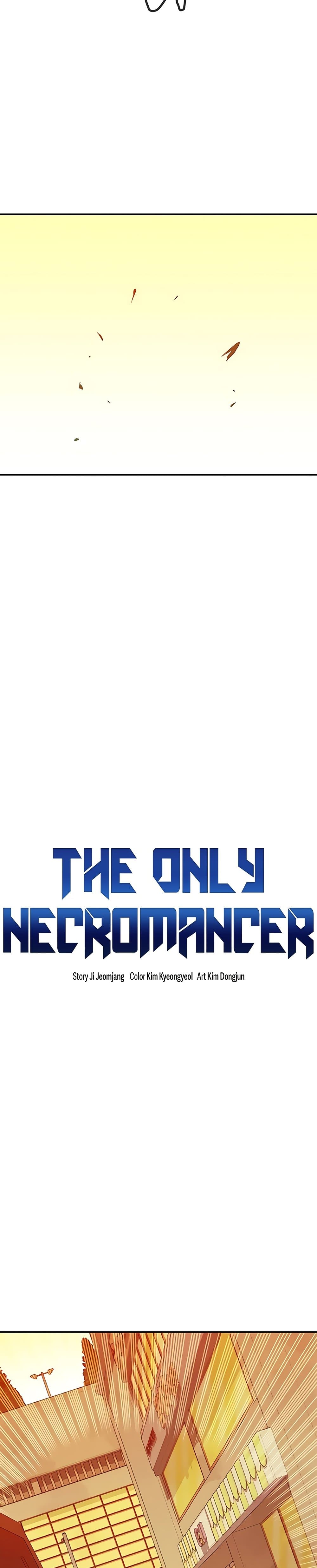The Lone Necromancer